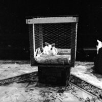 1974 Theatre, Rabbit 10