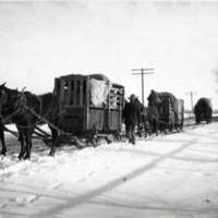1912 Oregon, Elk Imports 3