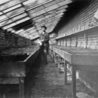 Union, Hothouse Interior
