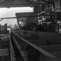 1980 Log Plant 16