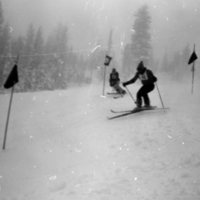 1981 Skiing, Men's Competition 24