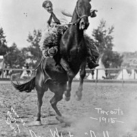 Rodeo, Bucking Bronco 4