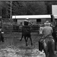 1991 Eastern Rodeo, Bull Riding 07
