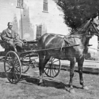 Horse and Carriage