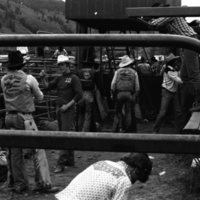 1981 Rodeo, Cowboys 06