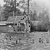 Cove Pool, Swimming 7