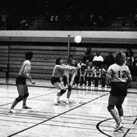 1981 Volleyball Action 08