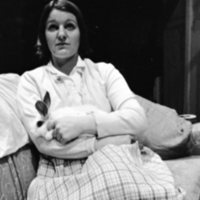 1974 Theatre, Rabbit 01