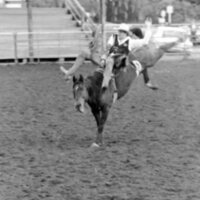 1987 Rodeo, Bronco Riding 04