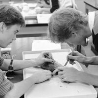 1984 Biology Lab, Dissection 03