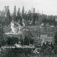 Baker, White Pine Mill