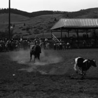 1981 Rodeo, Calf Roping 12
