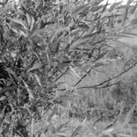 1973 Field Trip, Outdoors 09