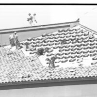 1989 Loso Hall Construction, Roof 13