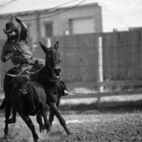 1981 Mule Rodeo, Roping Pairs 03
