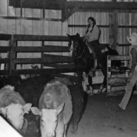 1976 Rodeo, Herding