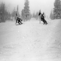 1981 Skiing, Men's Competition 19