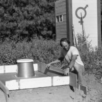 1981 Wallowa Mt. Field Station 08