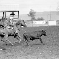 1978 Rodeo, Roping Pairs 11