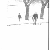 1988 Campus in Winter, Sledding 08