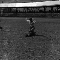 1981 Rodeo, Goat Roping 04