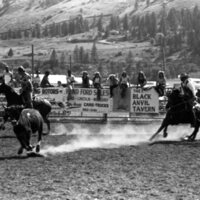 1979 Rodeo, Roping Pairs 10