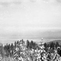 1981 Oregon, Blue Mountains 08