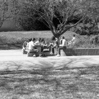 1986 Students, Outdoors in March 12