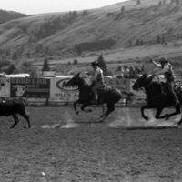 1979 Rodeo, Roping Pairs 04
