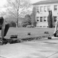 1988 Employees, Planting 02