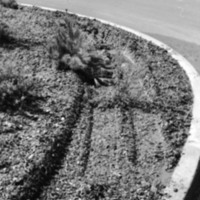 1974 Traffic Circle Damage 03