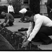 1991 Employees, Planting 02