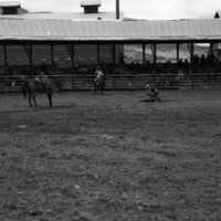 1982 EOSC Rodeo, Roping 03