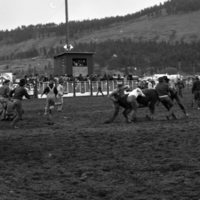 1982 EOSC Rodeo, Cow Milking 02