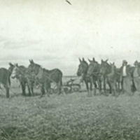GRV, Farming