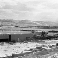 1980 Log Plant 10