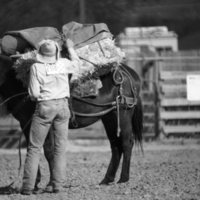 1981 Mule Rodeo, Pack Mule 02