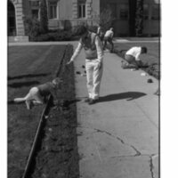 1989 Employees, Planting 18