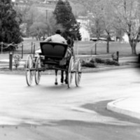 1988 Employee, Jack Johnson Carriage Ride 08