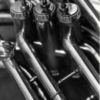 Trumpet Valves