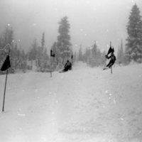 1981 Skiing, Men's Competition 20