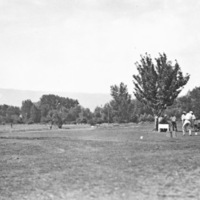 Reuter, Golfing 2