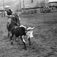 1984 Rodeo Club, Roping Pairs 02