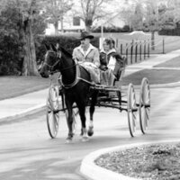 1988 Employee, Jack Johnson Carriage Ride 05