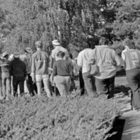 1985 Orientation, Tours 03