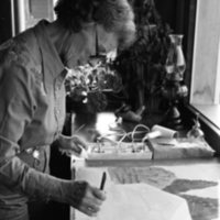 1982 Continuing Education, Alice Warnock, Painting Picture 08