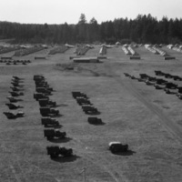 More than a dozen military trucks lined up in five lines, some of which have artillery cannons hitched to the back. A tent camp and a forest are in the background.