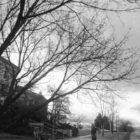 1983 Walter M. Pierce Library Entrance 02