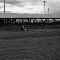 1982 EOSC Rodeo, Women's Barrel Racing 04