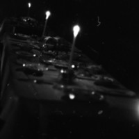 1981 Candlelight Dinner 05